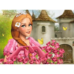 Ravensburger (07055) - "Your girlfriends from the Efteling" - 12 14 20 24 pieces puzzle