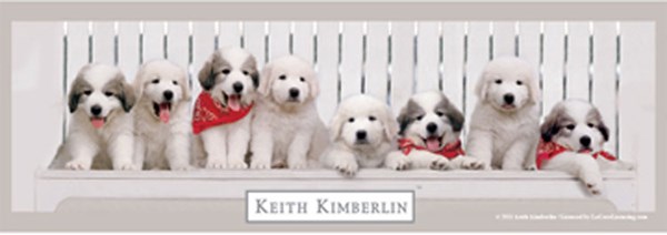 Anatolian (PER3139) - Keith Kimberlin: "Benchwarmers" - 1000 pieces puzzle