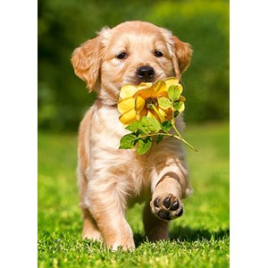 Castorland (B-06939) - "Puppy with Rose" - 60 pieces puzzle