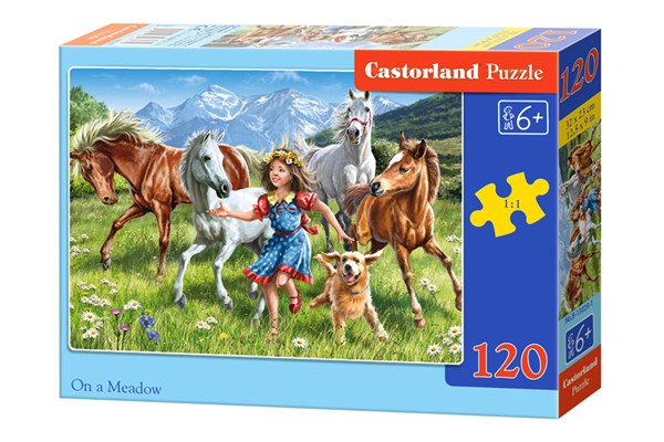 Castorland (B-13029) - "The girl and the horses in meadow" - 120 pieces puzzle