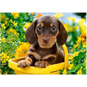 Castorland (B-018161) - "Puppy in Yellow" - 180 pieces puzzle
