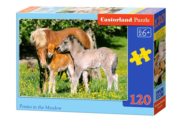 Castorland (B-12909) - "Ponies in grassland" - 120 pieces puzzle
