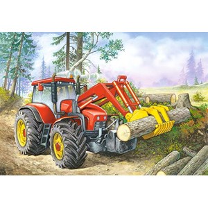 Castorland (B-06601) - "Forest Site" - 60 pieces puzzle