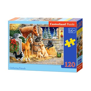 Castorland (B-13340) - "Gathering Friends" - 120 pieces puzzle