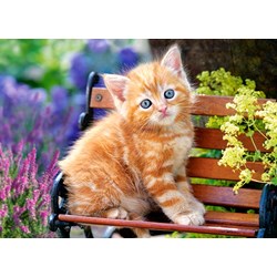 Castorland (B-018178) - "Ginger Kitten" - 180 pieces puzzle