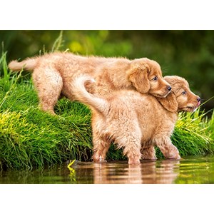 Castorland (B-06946) - "Puppies by the River" - 60 pieces puzzle