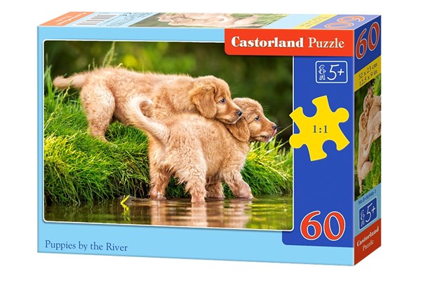 Castorland (B-06946) - "Puppies by the River" - 60 pieces puzzle