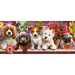 Castorland (B-060368) - "Puppies on a Shelf" - 600 pieces puzzle