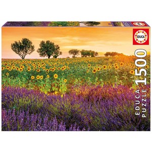 Educa (17669) - "Field of sunflowers and lavender" - 1500 pieces puzzle