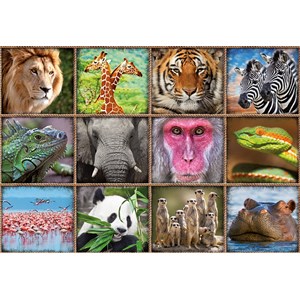 Educa (17656) - "Wild animals collage" - 1000 pieces puzzle