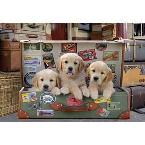 Educa (17645) - "Puppies in the luggage" - 500 pieces puzzle