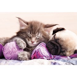 Educa (17644) - "Dream companions" - 500 pieces puzzle