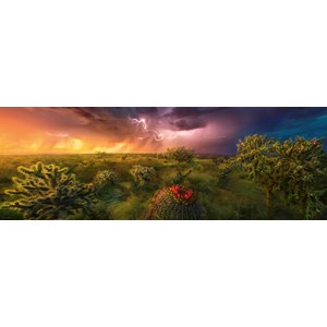 Heye (29817) - "Stormy Horizon" - 1000 pieces puzzle