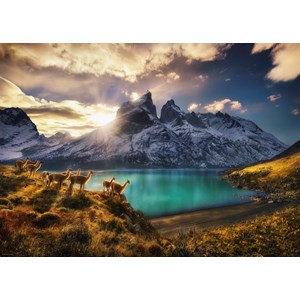 Heye (29815) - Alexander von Humboldt: "Guanacos" - 1000 pieces puzzle