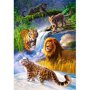 Castorland (C-103553) - "Big Cats" - 1000 pieces puzzle