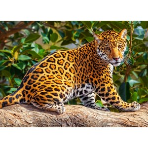 Castorland (B-27392) - "Little Jaguar" - 260 pieces puzzle