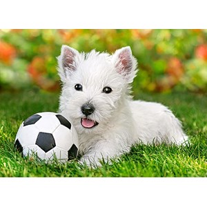 Castorland (B-06823) - "White Terrier and Football" - 60 pieces puzzle