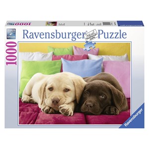 Ravensburger (19115) - "Nice and Warm" - 1000 pieces puzzle