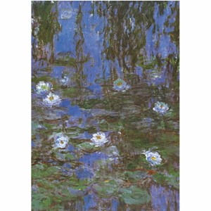 D-Toys (67548-CM06) - Claude Monet: "Water Lilies" - 1000 pieces puzzle
