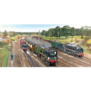 Gibsons (G4018) - "New Forest Junction" - 636 pieces puzzle