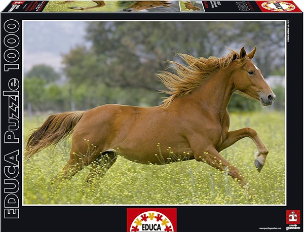 Educa (15522) - "At Full Gallop" - 1000 pieces puzzle
