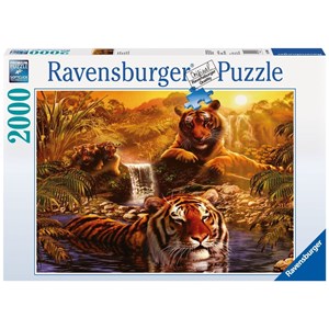 Ravensburger (16646) - "Tigers' Bathing" - 2000 pieces puzzle