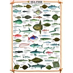 Eurographics (6000-0313) - "Sea Fish" - 1000 pieces puzzle