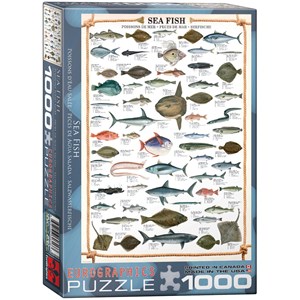 Eurographics (6000-0313) - "Sea Fish" - 1000 pieces puzzle