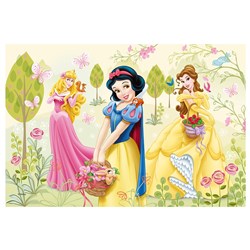 Trefl (36503) - "Disney Princess" - 48 pieces puzzle