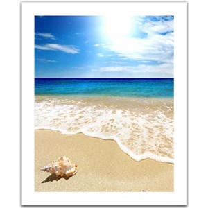 Pintoo (H1335) - "Seashell on the beach" - 500 pieces puzzle