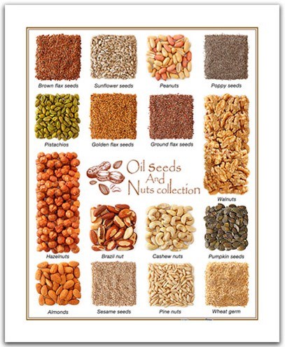 Pintoo (H1472) - "Seeds and nuts" - 500 pieces puzzle