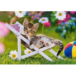 Castorland (B-021116) - "Kittens into the garden" - 165 300 pieces puzzle
