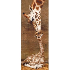 Ravensburger (15115) - "First Kiss" - 1000 pieces puzzle