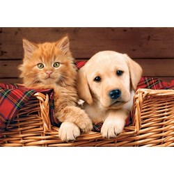 Trefl (15270) - "Better Together" - 160 pieces puzzle