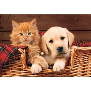 Trefl (15270) - "Better Together" - 160 pieces puzzle