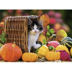 Ravensburger (13603) - "Kitten" - 500 pieces puzzle