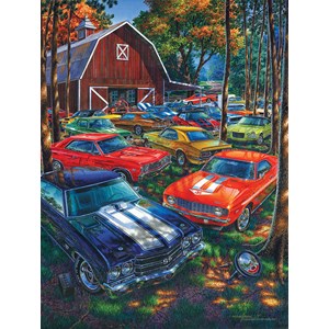 SunsOut (61765) - Michael Irvine: "There's Always Room for One More" - 300 pieces puzzle