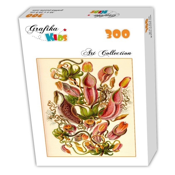 Grafika Kids (00307) - Ernst Haeckel: "Kunstformen der Natur, Nepenthaceae, 1904" - 300 pieces puzzle