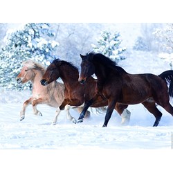 Ravensburger (14140) - "Galloping in the Snow" - 500 pieces puzzle