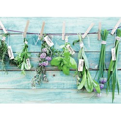 Ravensburger (19612) - "Herb Garden" - 1000 pieces puzzle