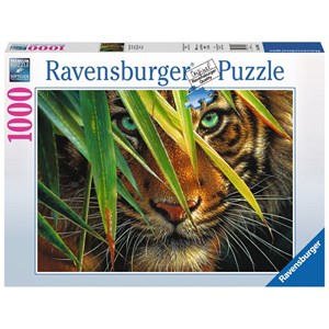 Ravensburger (19486) - "Mysterious Tiger" - 1000 pieces puzzle