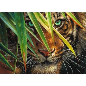 Ravensburger (19486) - "Mysterious Tiger" - 1000 pieces puzzle