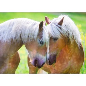 Ravensburger (19485) - "Intimate Moment" - 1000 pieces puzzle