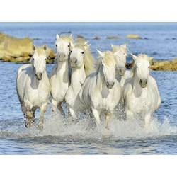 Ravensburger (16285) - "Sparkling Refreshment" - 1500 pieces puzzle