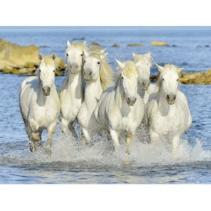 Ravensburger (16285) - "Sparkling Refreshment" - 1500 pieces puzzle