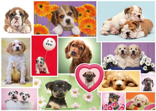 Schmidt Spiele (58231) - "Friends on four paws" - 1000 pieces puzzle