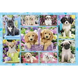 Schmidt Spiele (56162) - "Puppies" - 200 pieces puzzle