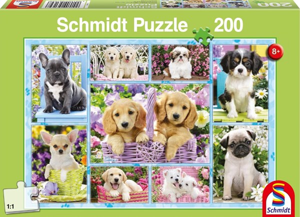 Schmidt Spiele (56162) - "Puppies" - 200 pieces puzzle