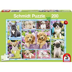Schmidt Spiele (56162) - "Puppies" - 200 pieces puzzle