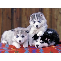 Ravensburger (12823) - "Huskies" - 200 pieces puzzle